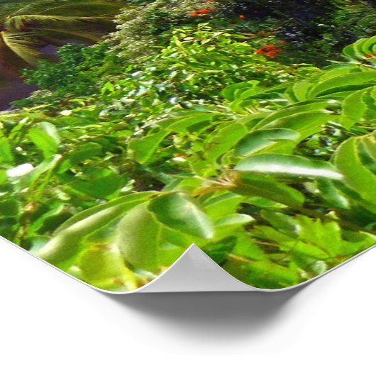 Koolau Mountains Poster (Hoek)