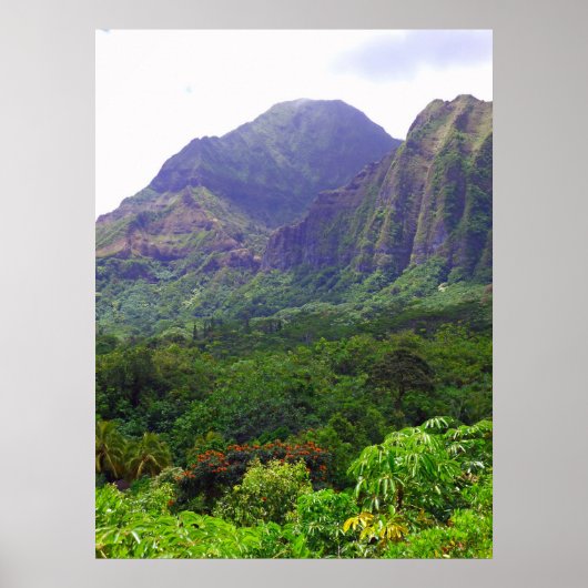 Koolau Mountains Poster (Voorkant)