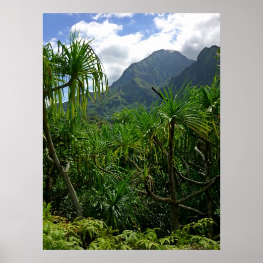 Koolau Mountains Poster (Voorkant)