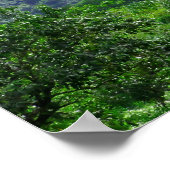 Koolau Mountains Poster (Hoek)