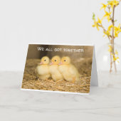 KOOLEENHEDEN ***GROEPSKAART*** VOOR EEN PERSOON VA KAART (Gele Bloem)