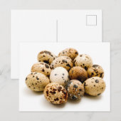 Kooleieren Briefkaart (Voorkant / Achterkant)