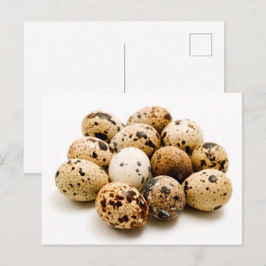 Kooleieren Briefkaart (Voorkant / Achterkant)