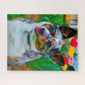 Koolie hond. legpuzzel (Horizontaal)