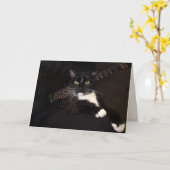 Koolkat en gitaargeboorte kaart (Gele Bloem)