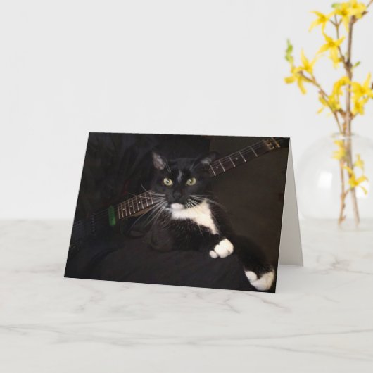 Koolkat en gitaargeboorte kaart (Gele Bloem)