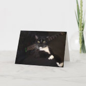 Koolkat en gitaargeboorte kaart (Voorkant)