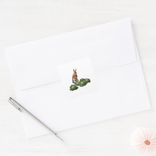 Koolkonijn Vierkante Sticker (Envelop)