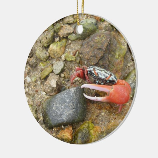 Koolkrab Keramisch Ornament (Links)