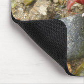 Koolkrab Muismat (Hoek)