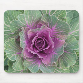 Koolplant Muismat