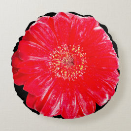 Koolrode Gerbera-Margriet Ronde Worpkussen Rond Kussen