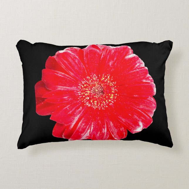 Koolrode Gerbera-Margriet Zwarte Accentkussen Accent Kussen (Voorkant)