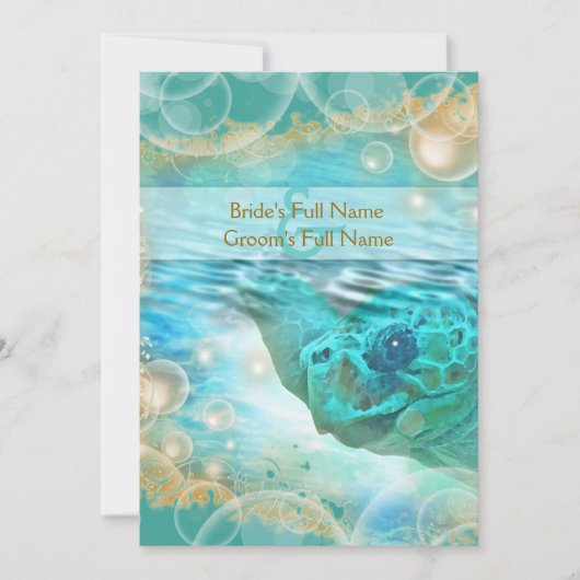 Koolschildpad Kaart (Voorkant)