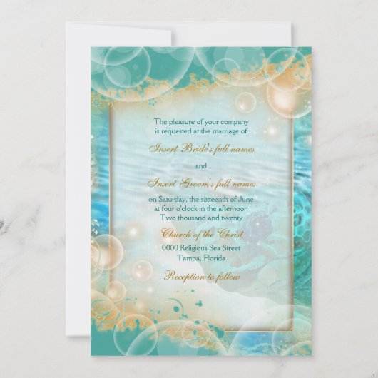 Koolschildpad Kaart (Achterkant)