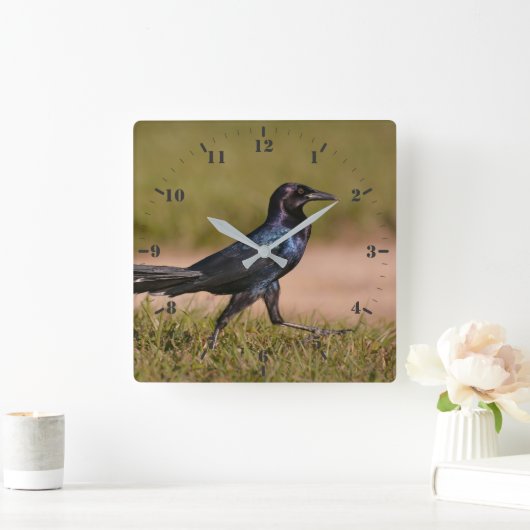 Koolstaartgrackle Vierkante Klok (Huis)