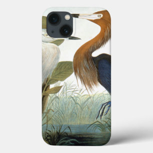 koolstof: roodbaars of Paarse haron Case-Mate iPhone Case