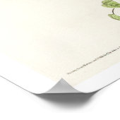 Koolstof Warbler, Poster van Audubon (Hoek)