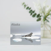 Koolstofafdichting op ijs briefkaart (Staand voorkant)