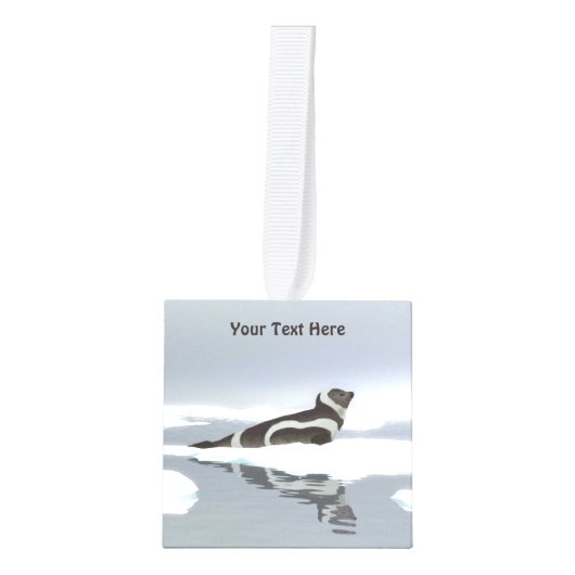 Koolstofafdichting op ijs decoratie (Voorkant)