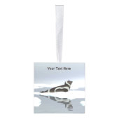 Koolstofafdichting op ijs decoratie (Rechts)