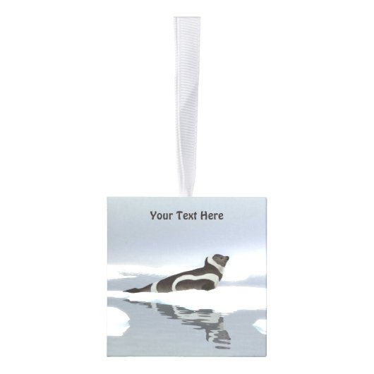 Koolstofafdichting op ijs decoratie (Rechts)