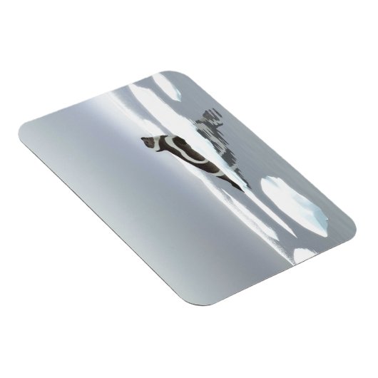 Koolstofafdichting op ijs magneet (Rechterzijde)