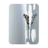 Koolstofafdichting op ijs magneet (Verticaal)