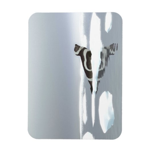 Koolstofafdichting op ijs magneet (Verticaal)