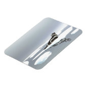 Koolstofafdichting op ijs magneet (Linkerzijde)