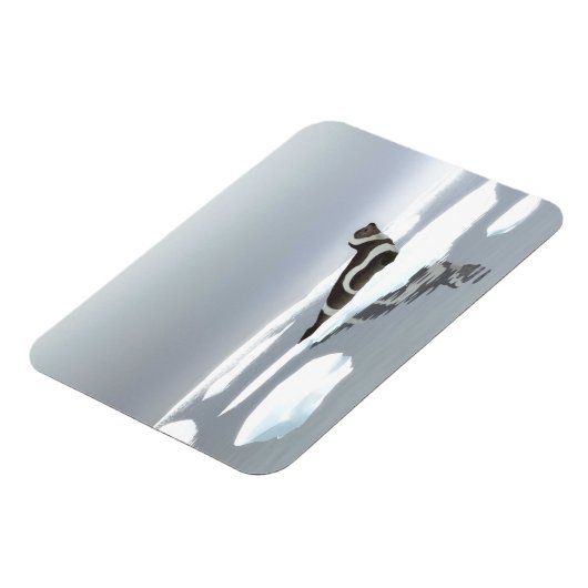 Koolstofafdichting op ijs magneet (Linkerzijde)