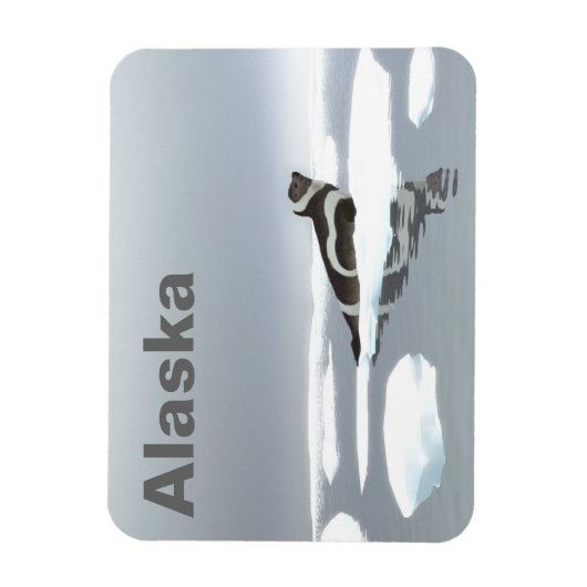 Koolstofafdichting op ijs magneet (Verticaal)