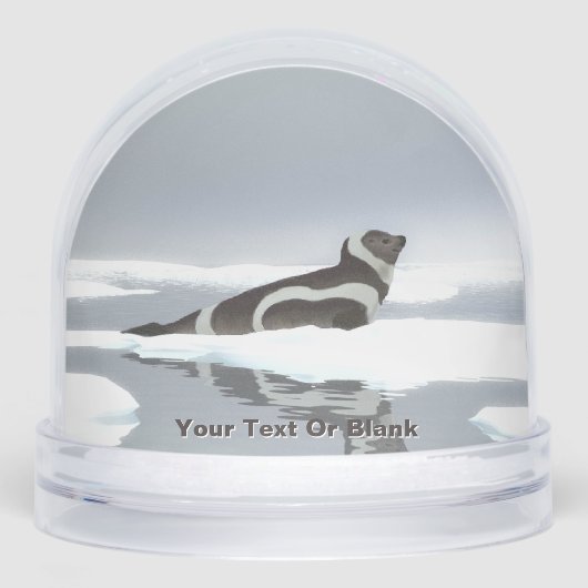 Koolstofafdichting op ijs sneeuwbol (Voorkant)