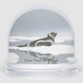 Koolstofafdichting op ijs sneeuwbol (Achterkant)