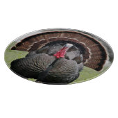 Koolstofknipsel in Turkije Snijplank (Hoek)