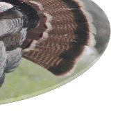 Koolstofknipsel in Turkije Snijplank (Hoek)