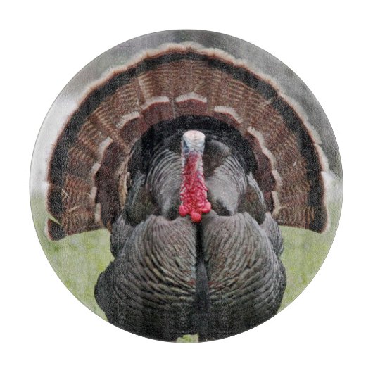 Koolstofknipsel in Turkije Snijplank (Voorkant)