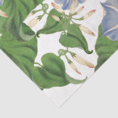 Koolstofpapier voor het kleuren van bonenkorrels tissuepapier (Detail)