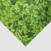 Koolstofpatroon Tissuepapier (Detail)