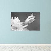 Koolstofvlinder op kosmos in zwart-wit canvas afdruk (Insitu (Houten vloer))