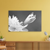 Koolstofvlinder op kosmos in zwart-wit canvas afdruk (Insitu (Woonkamer))