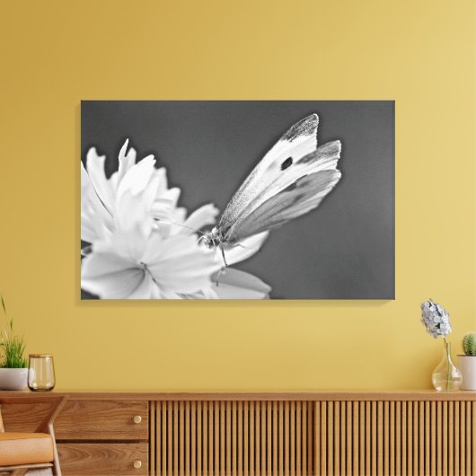 Koolstofvlinder op kosmos in zwart-wit canvas afdruk (Insitu (Woonkamer))