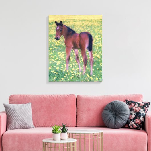 Koolt in Dandelion Field Canvas Afdruk (Insitu (Woonkamer))