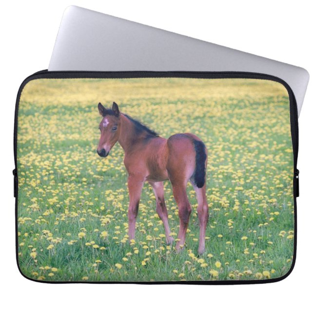 Koolt in Dandelion Field Laptop Sleeve (Voorkant)