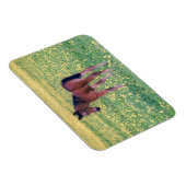 Koolt in Dandelion Field Magneet (Rechterzijde)