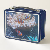 Koolvis (Achterkant)