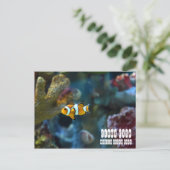 Koolvis Briefkaart (Staand voorkant)