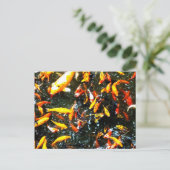 Koolvis Briefkaart (Staand voorkant)