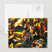 Koolvis Briefkaart (Voorkant / Achterkant)