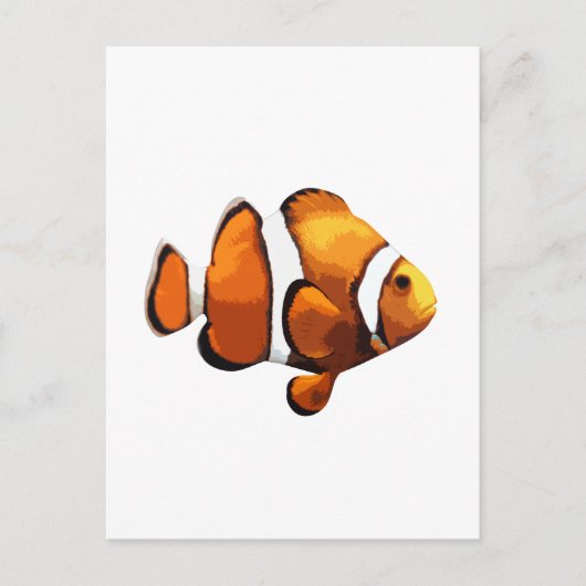 Koolvis Briefkaart (Voorkant)